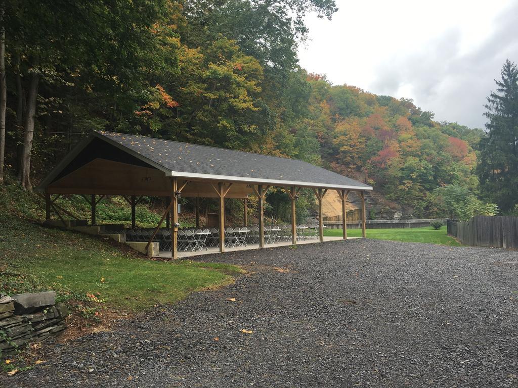 Cook Mansion Bed & Breakfast Montour Falls Экстерьер фото